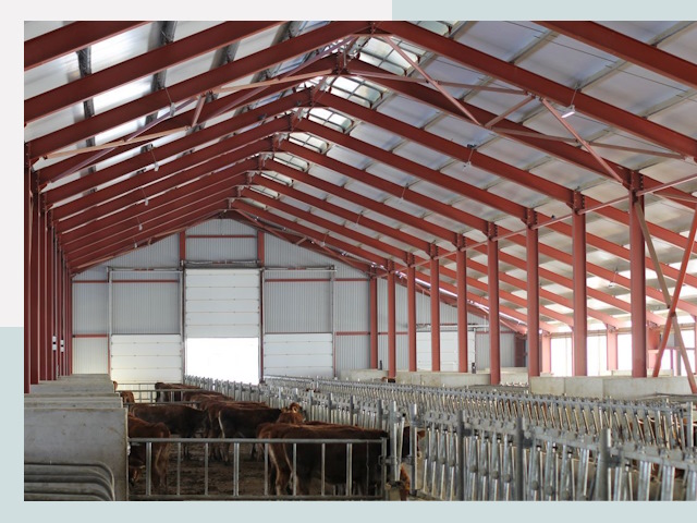 Строительство коровников в Южноуральске