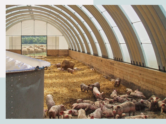 Строительство свинарников в Южноуральске