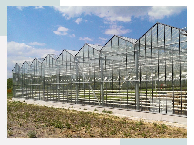 Строительство теплиц в Южноуральск от 656 руб. за м²